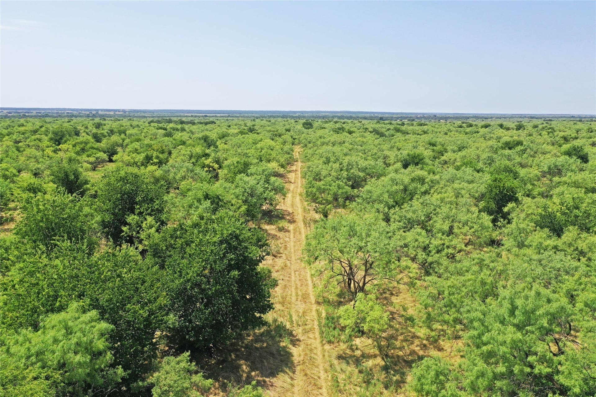 480 acres in Jack County gallery image 2