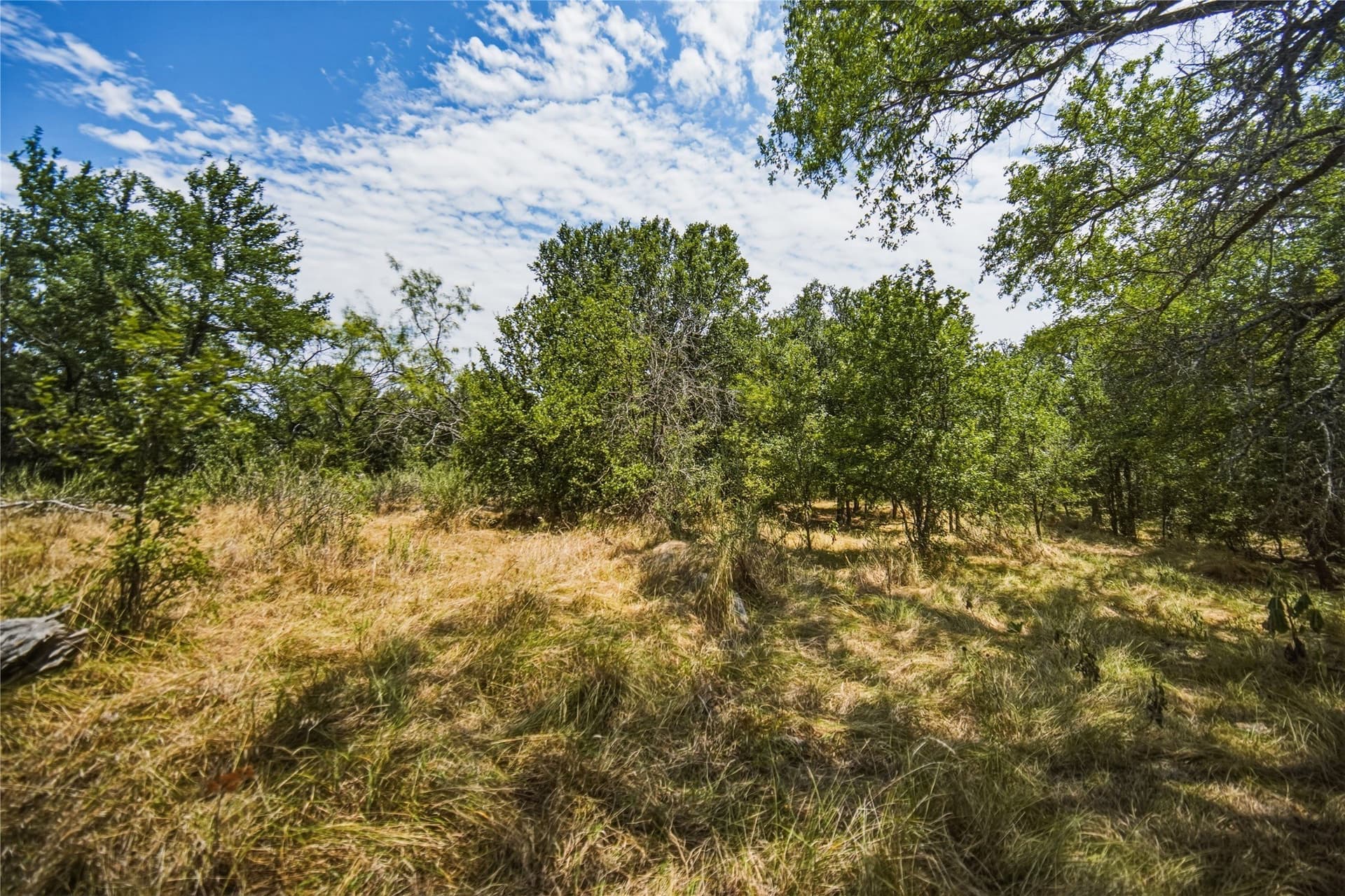 480 acres in Jack County - photo 31