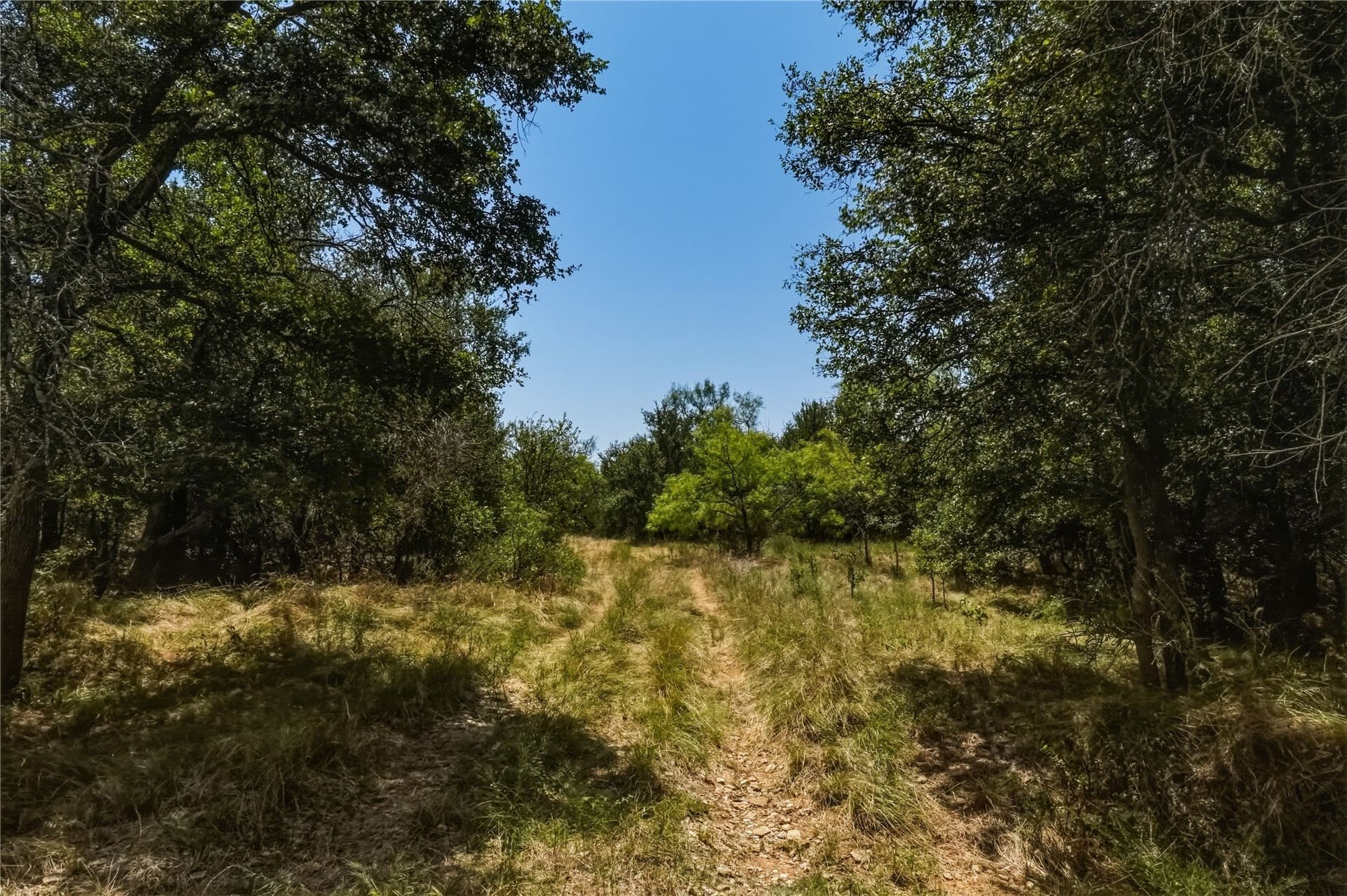 480 acres in Jack County - photo 34