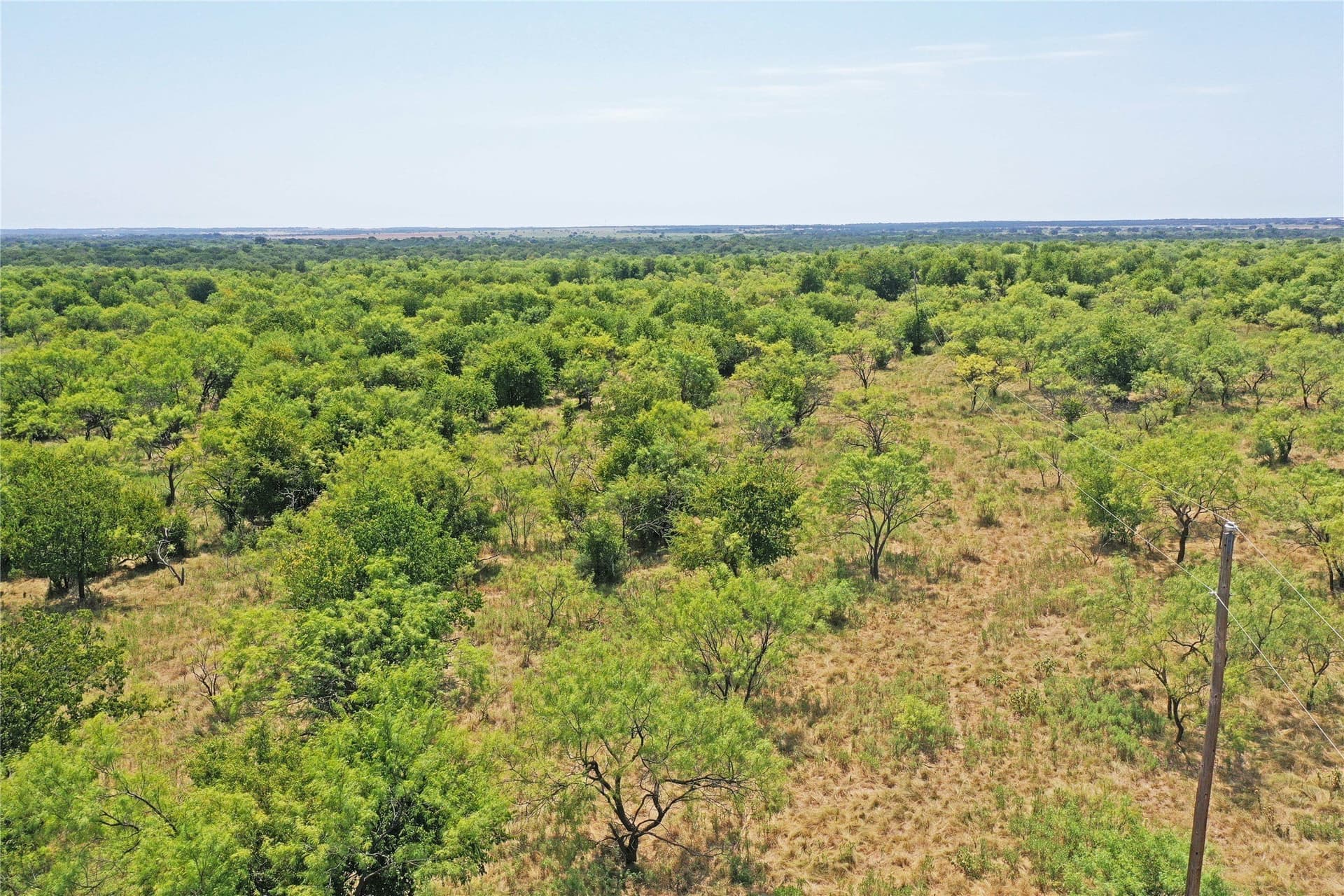 480 acres in Jack County featured view