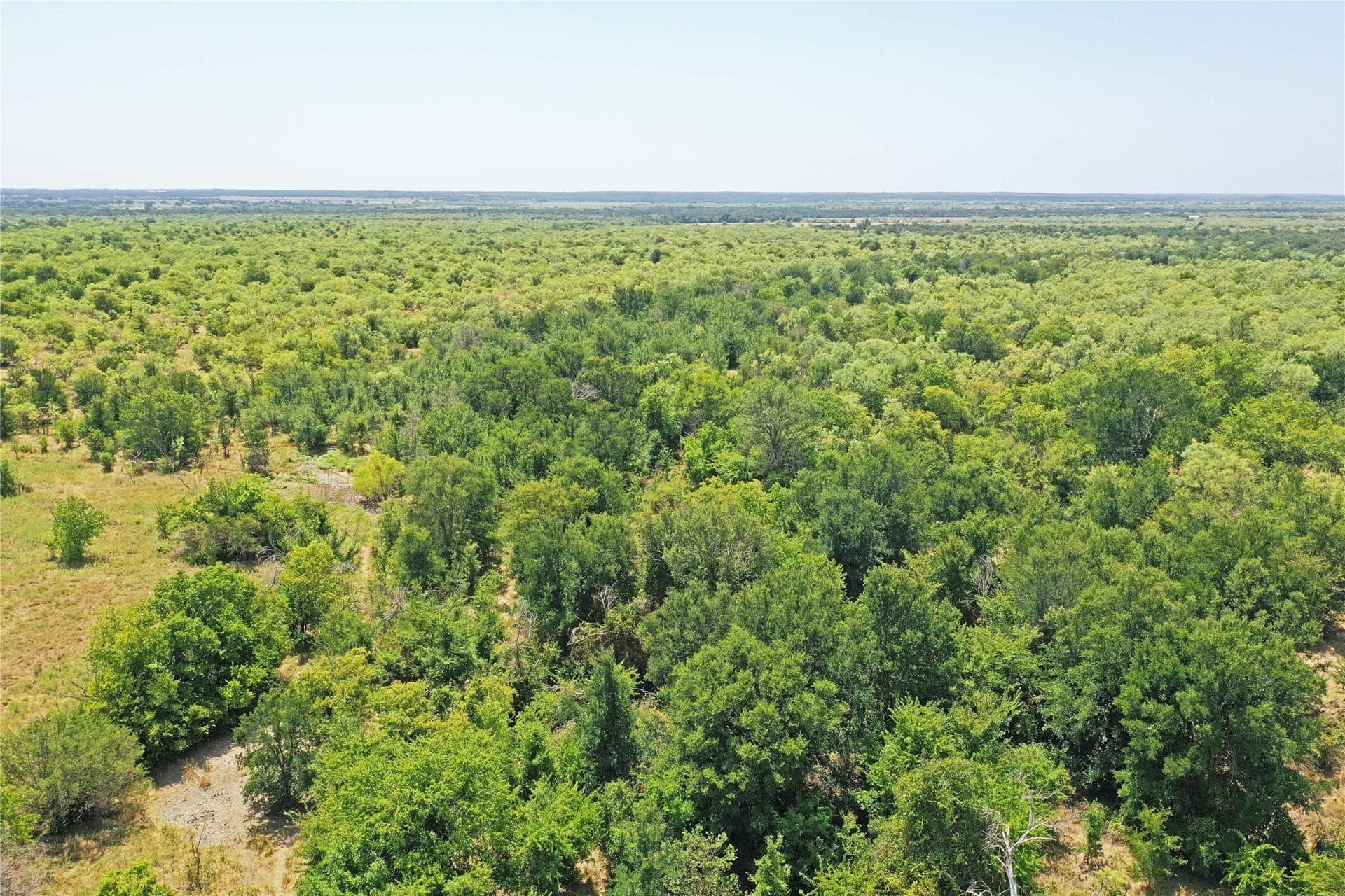 480 acres in Jack County - photo 13