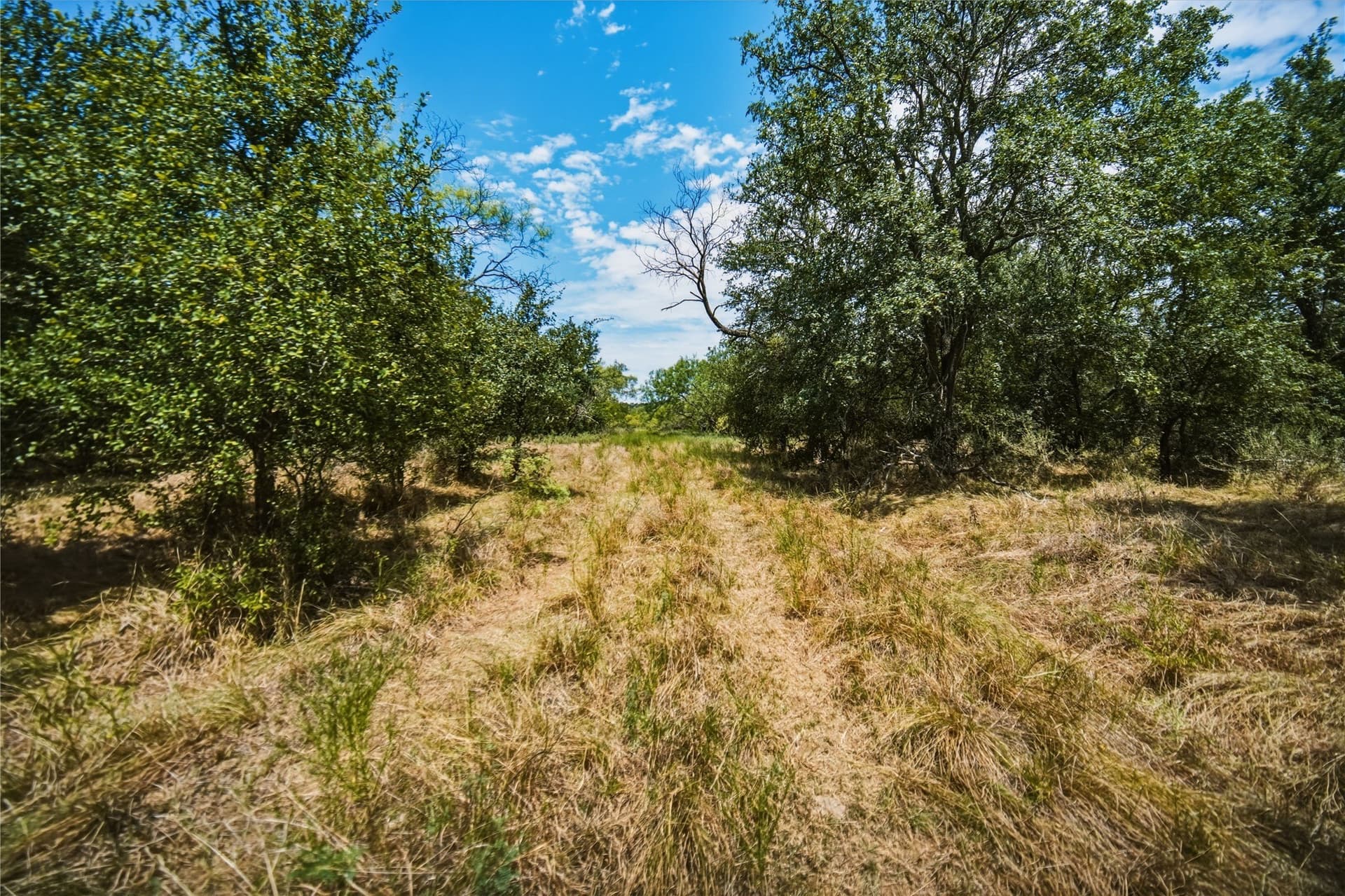 480 acres in Jack County - photo 30