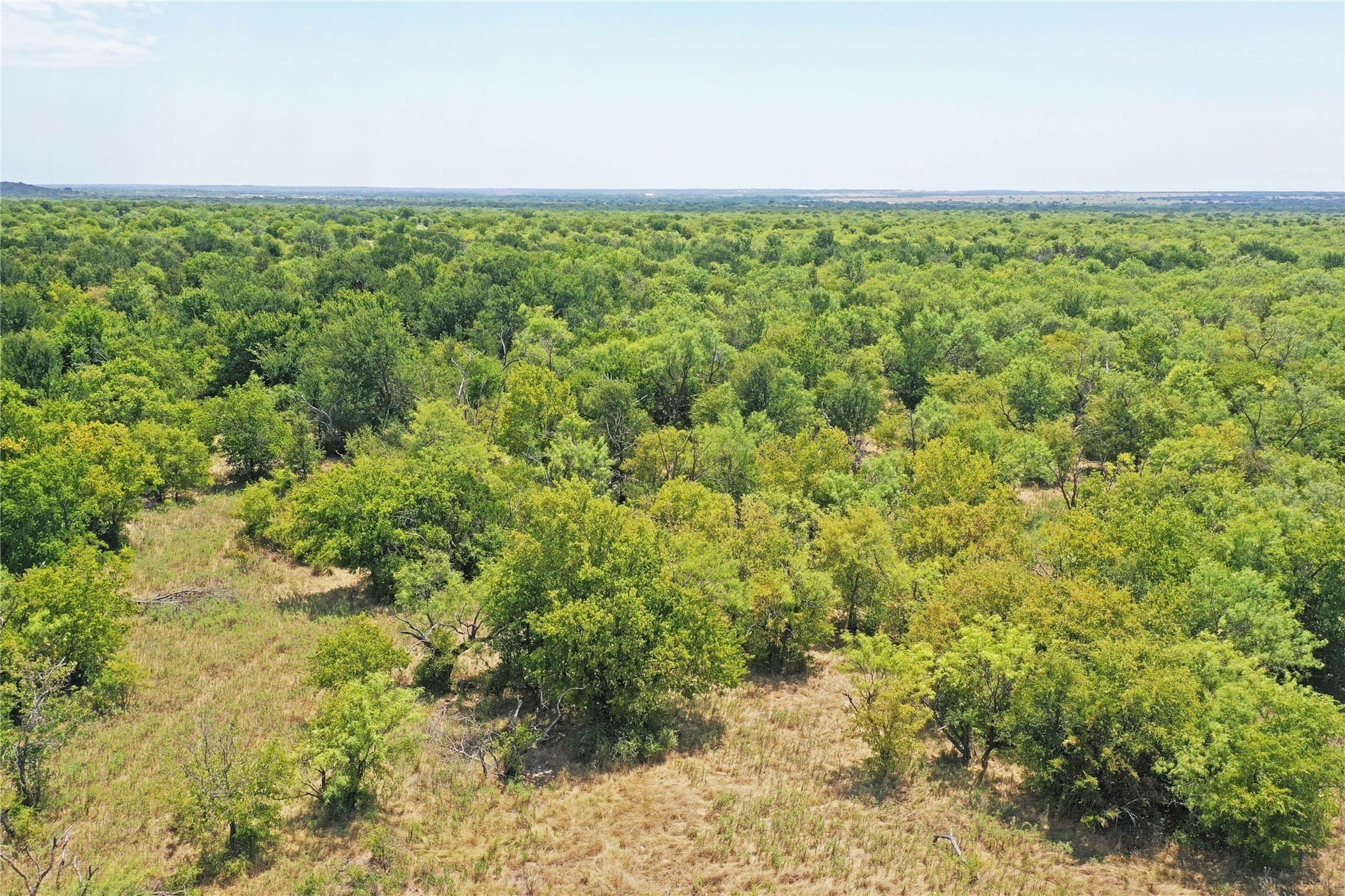 480 acres in Jack County - photo 10