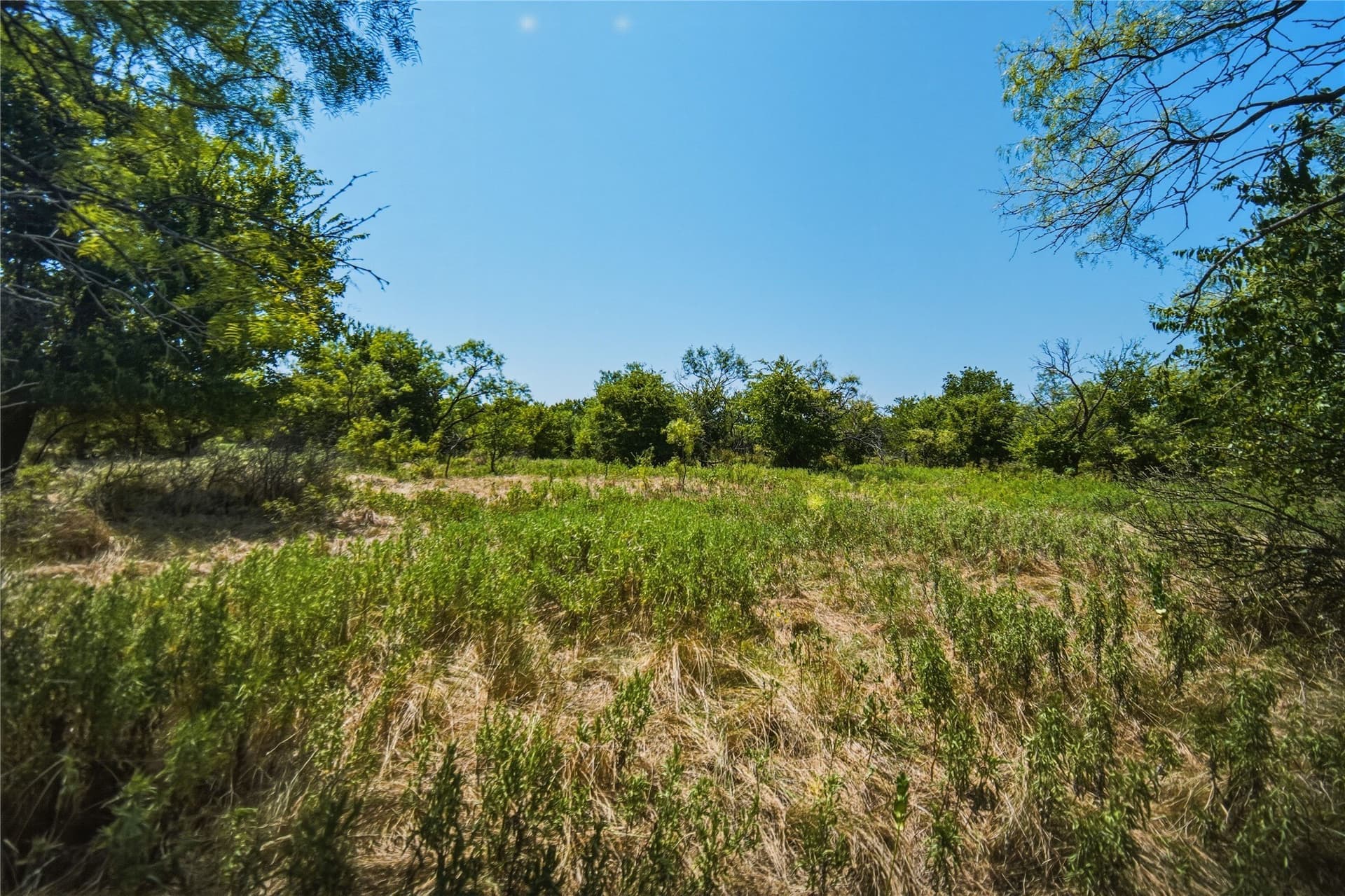 480 acres in Jack County - photo 12