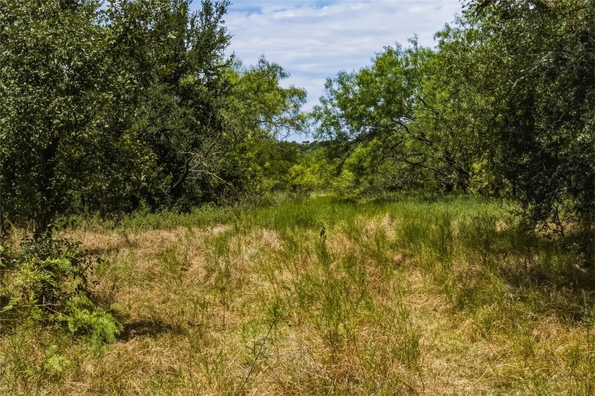 480 acres in Jack County - photo 33