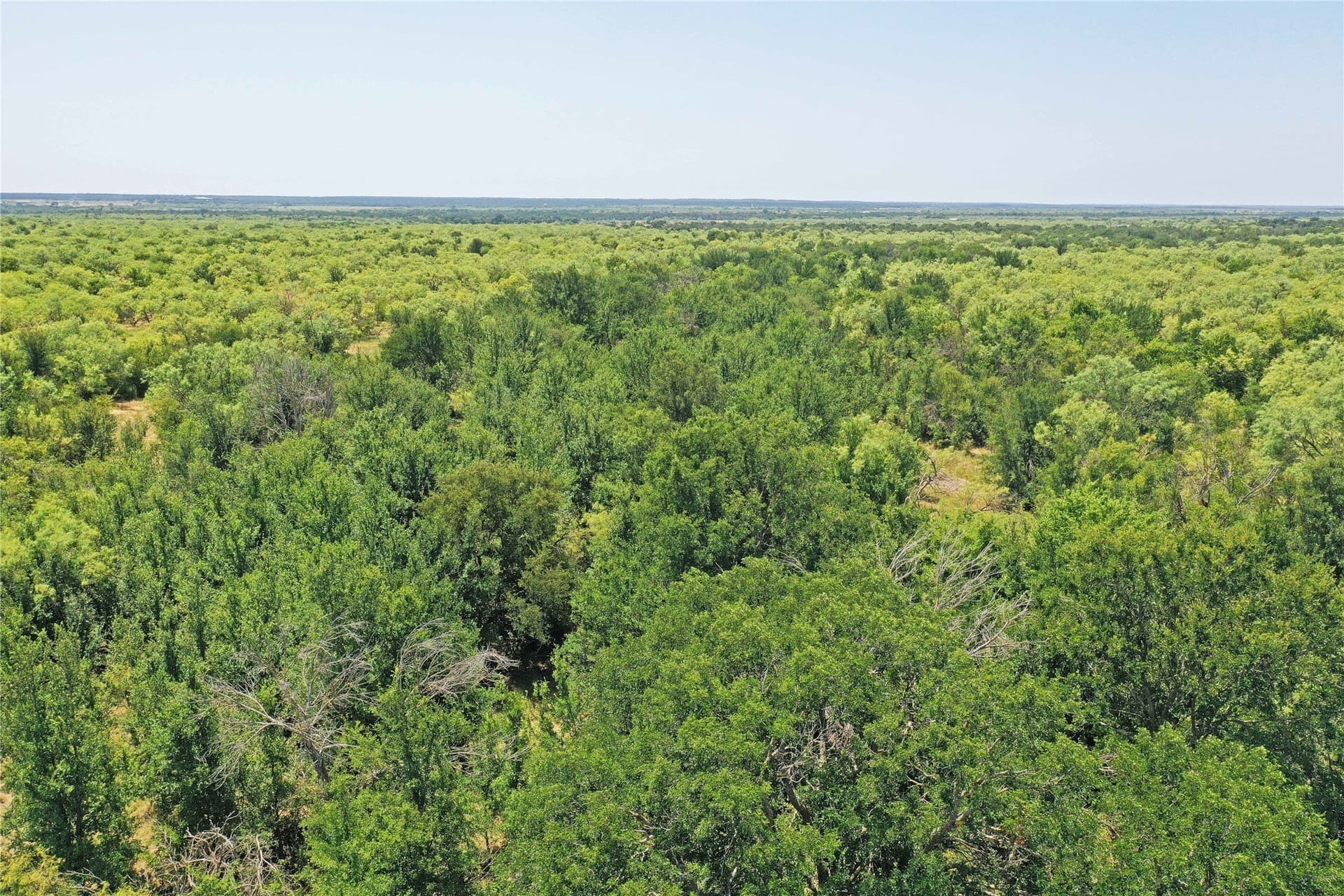 480 acres in Jack County - photo 15