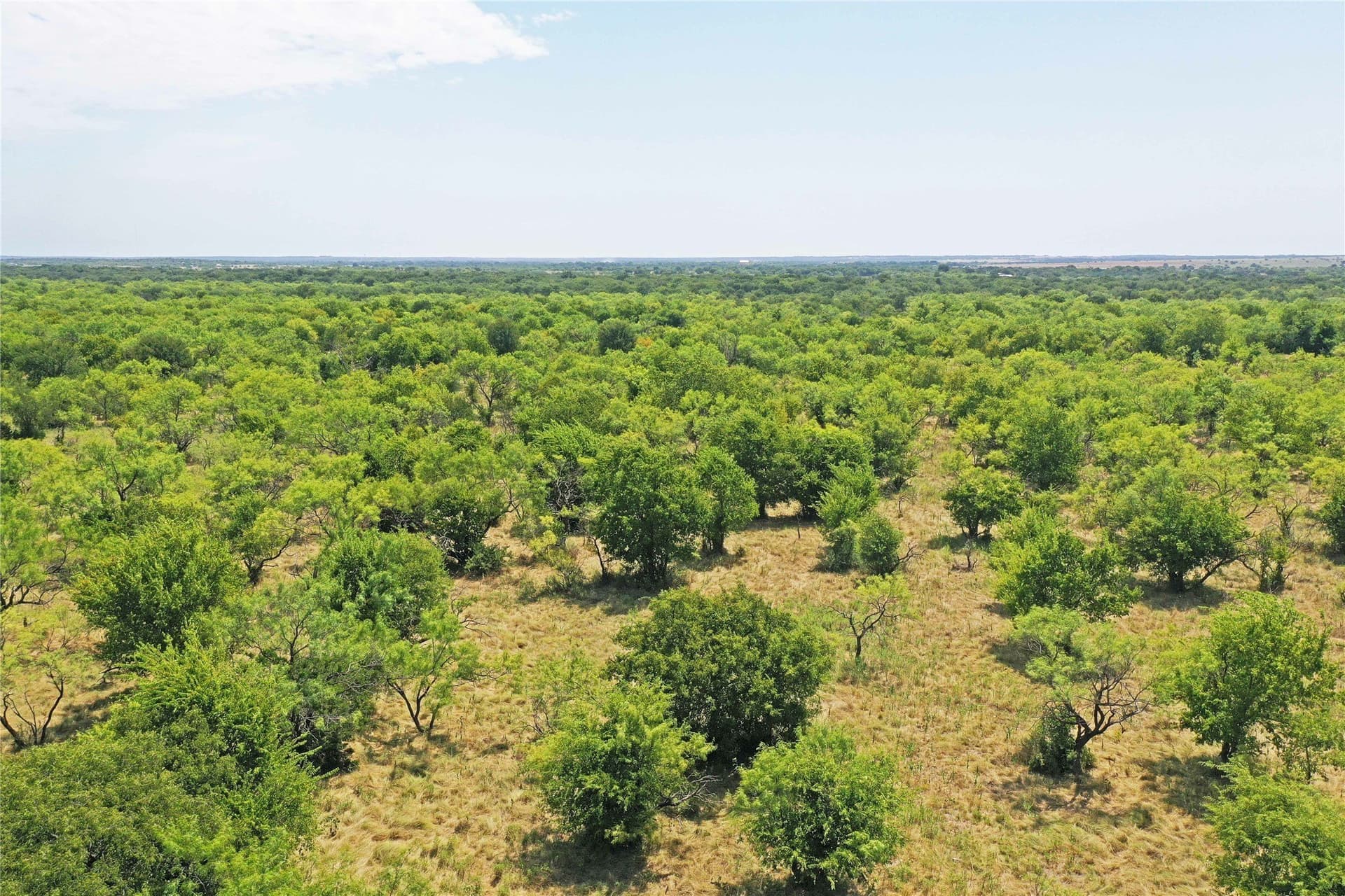 480 acres in Jack County - photo 8
