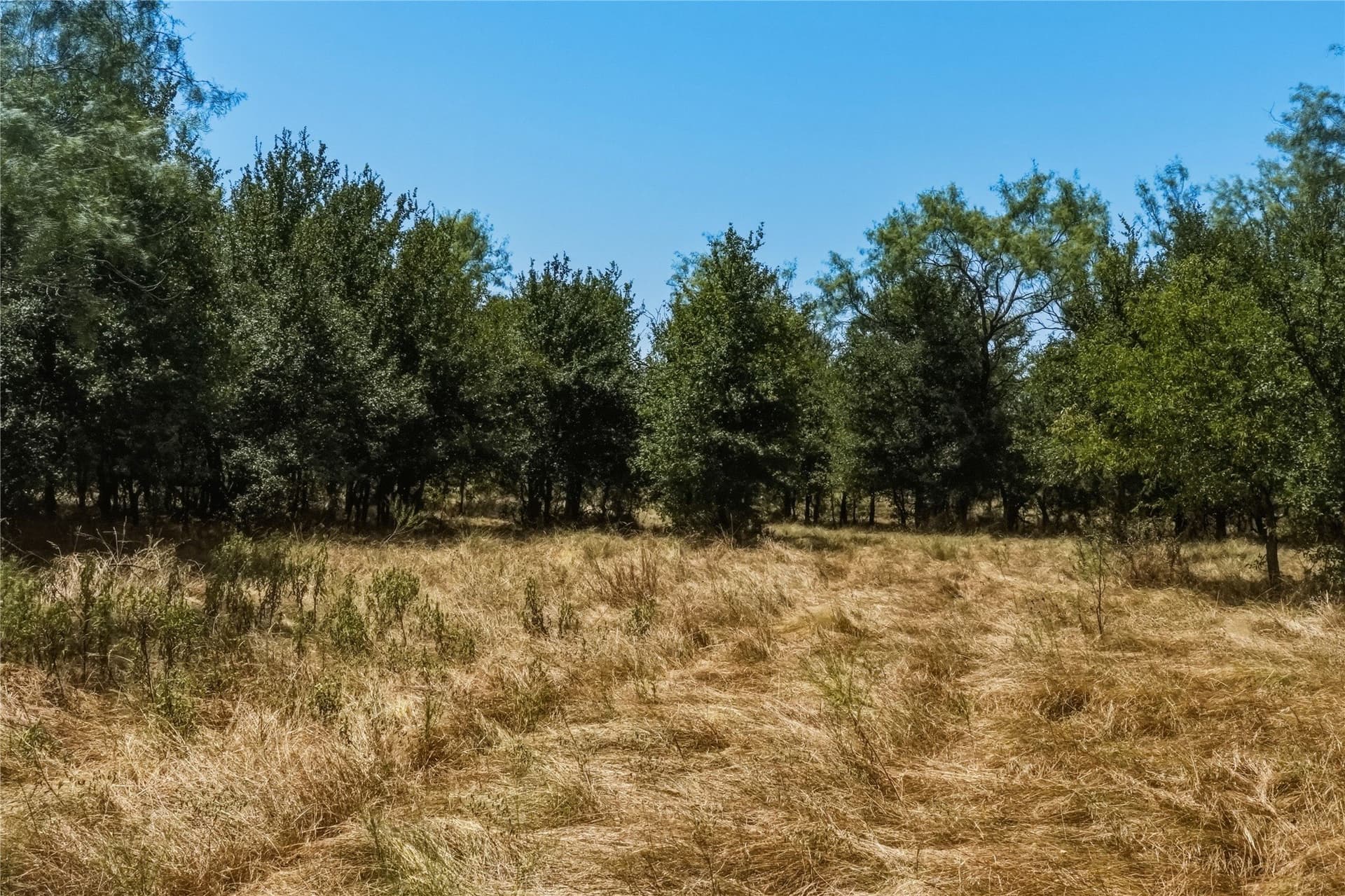 480 acres in Jack County - photo 35