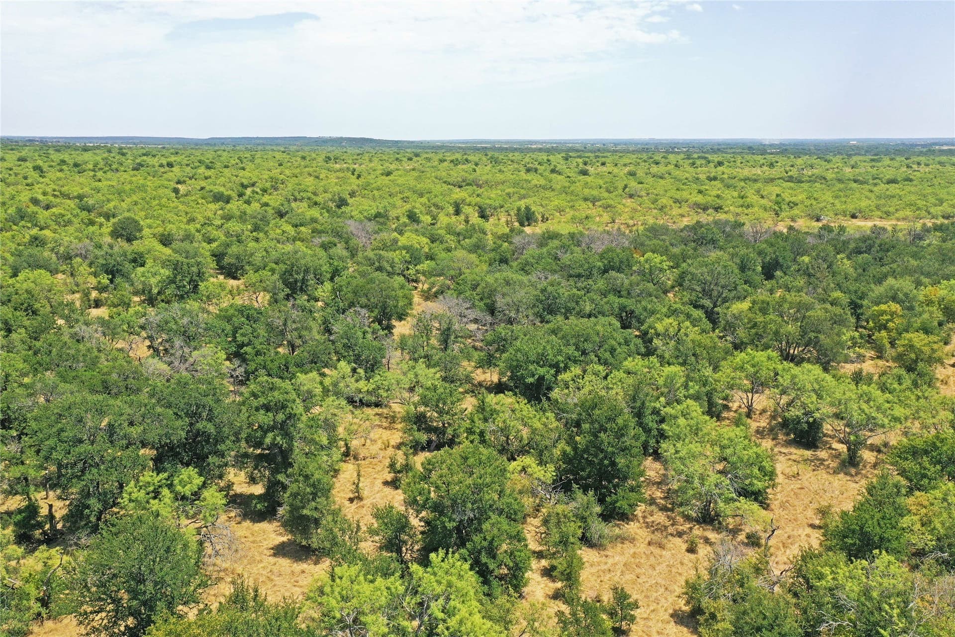 480 acres in Jack County - photo 21