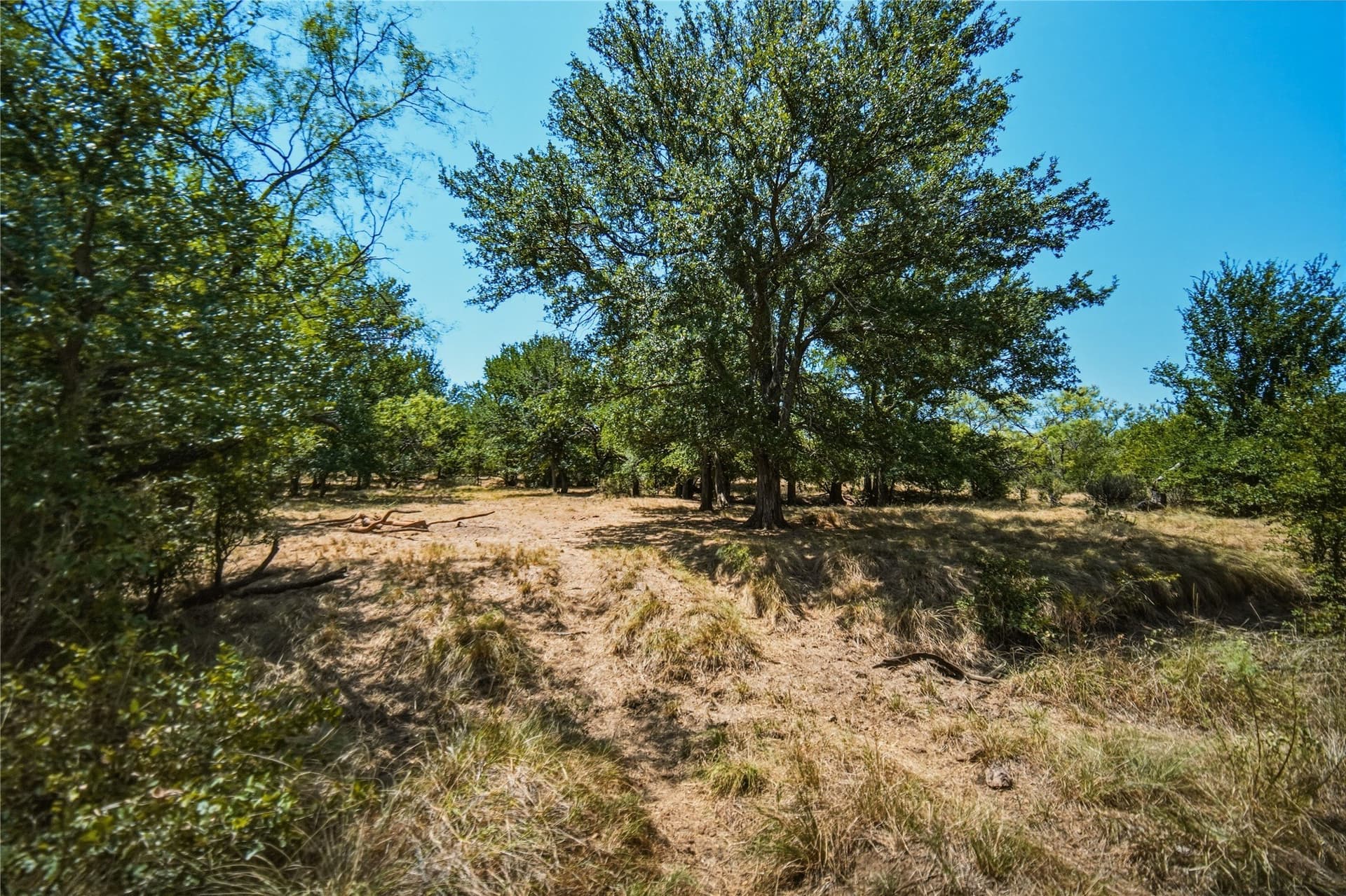480 acres in Jack County - photo 29