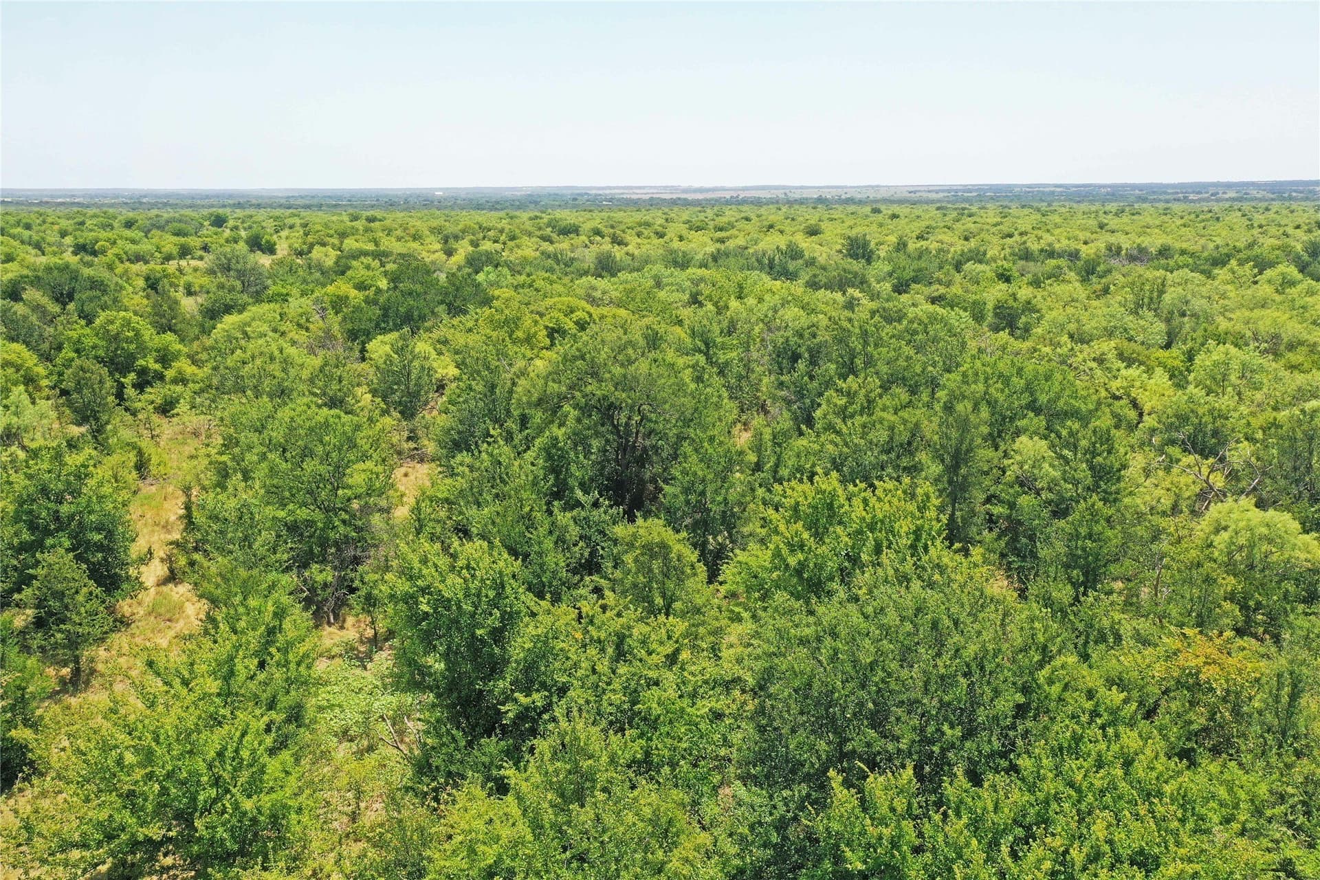 480 acres in Jack County - photo 11