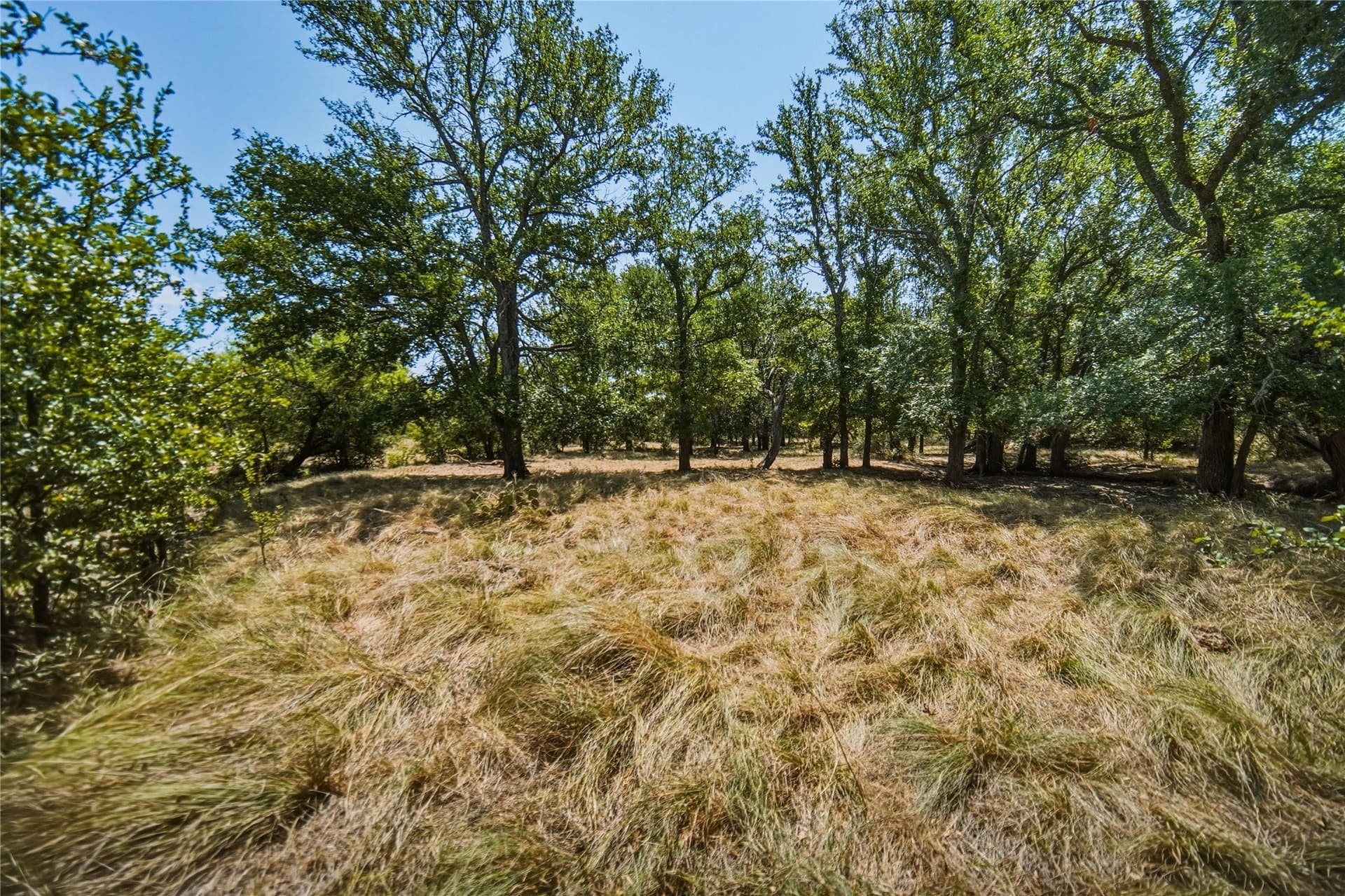 480 acres in Jack County - photo 28