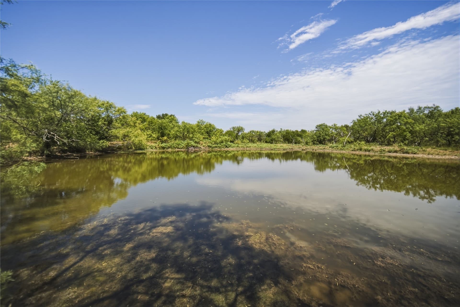 480 acres in Jack County - photo 39