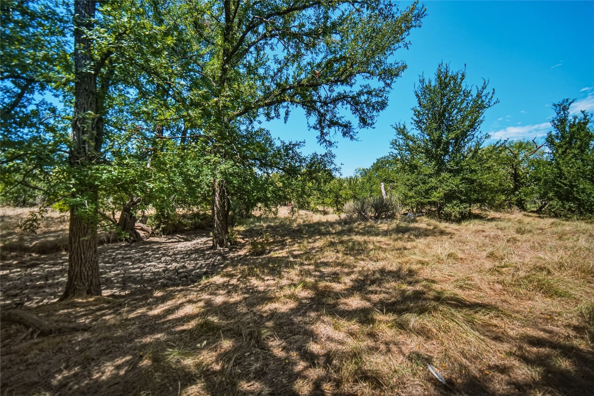480 acres in Jack County gallery image 3