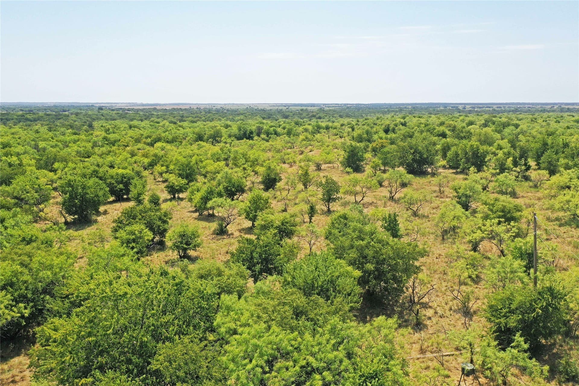 480 acres in Jack County - photo 7