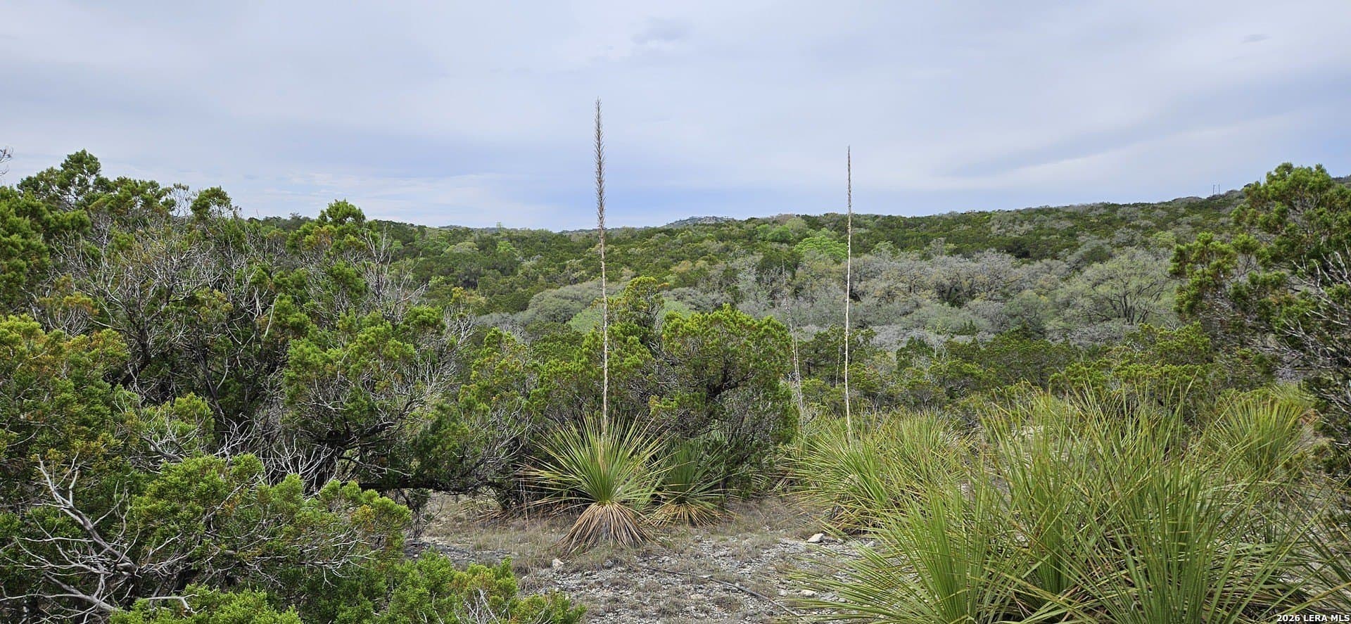 76.43 acres in Bexar County gallery image 2