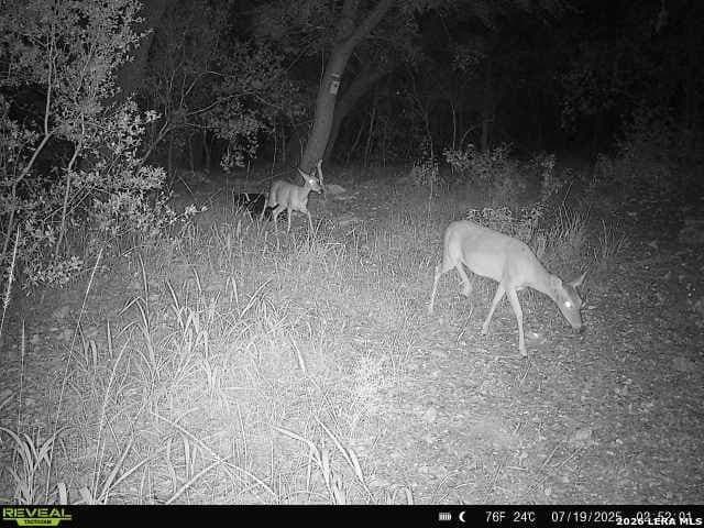 76.43 acres in Bexar County featured view