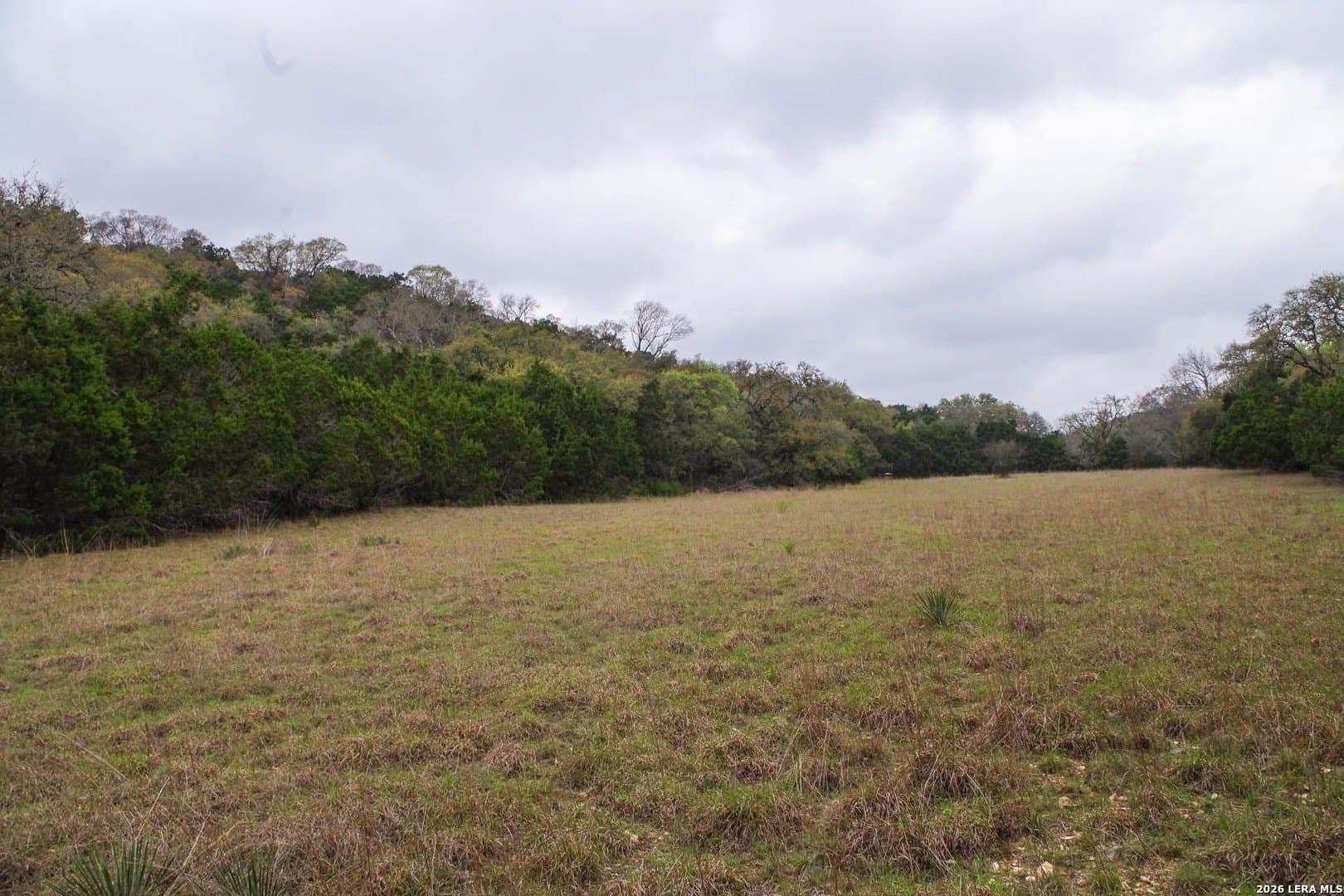 76.43 acres in Bexar County gallery image 3