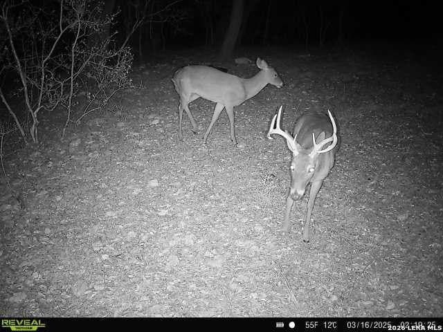 76.43 acres in Bexar County - photo 7