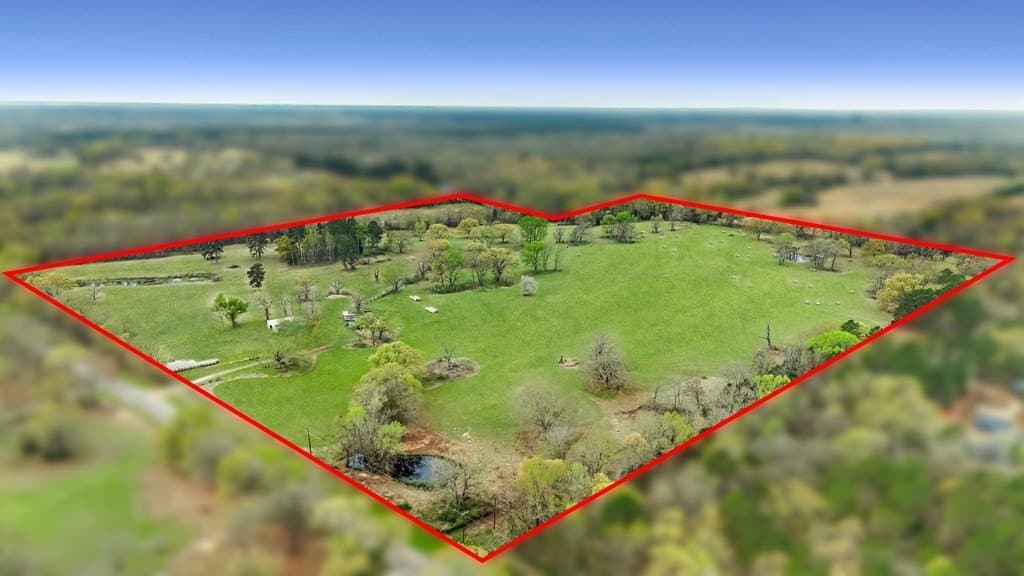 56.56 acres in Henderson County gallery image 2