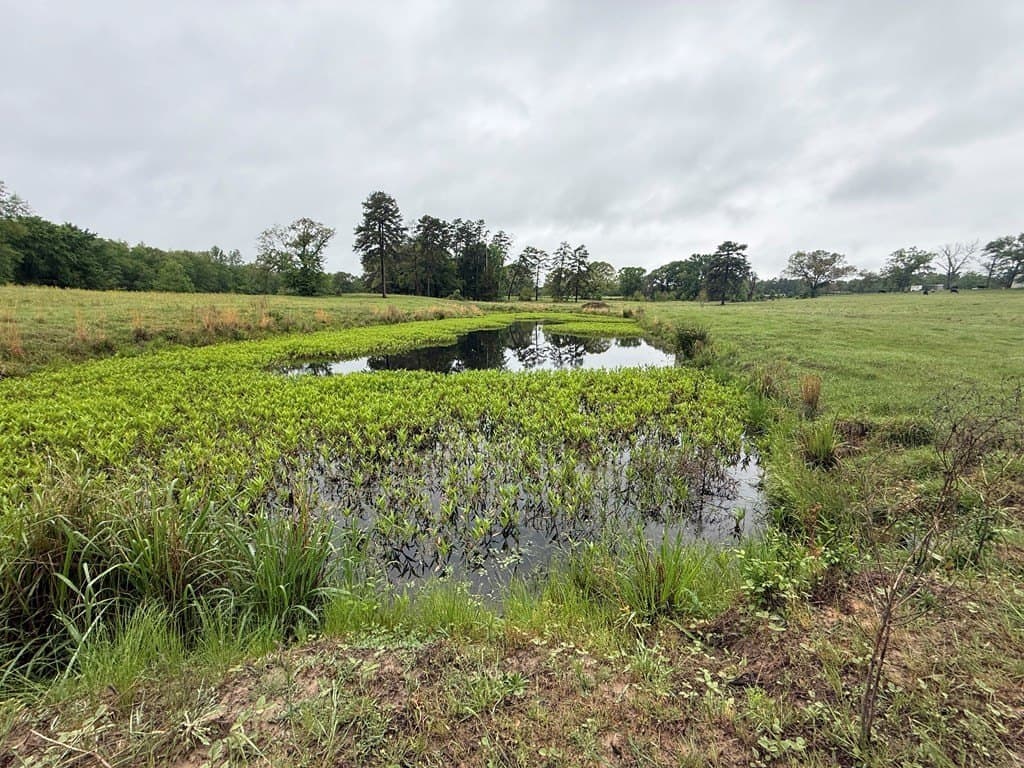56.56 acres in Henderson County - photo 25
