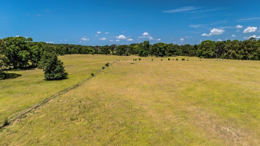 56.56 acres in Henderson County - photo 11