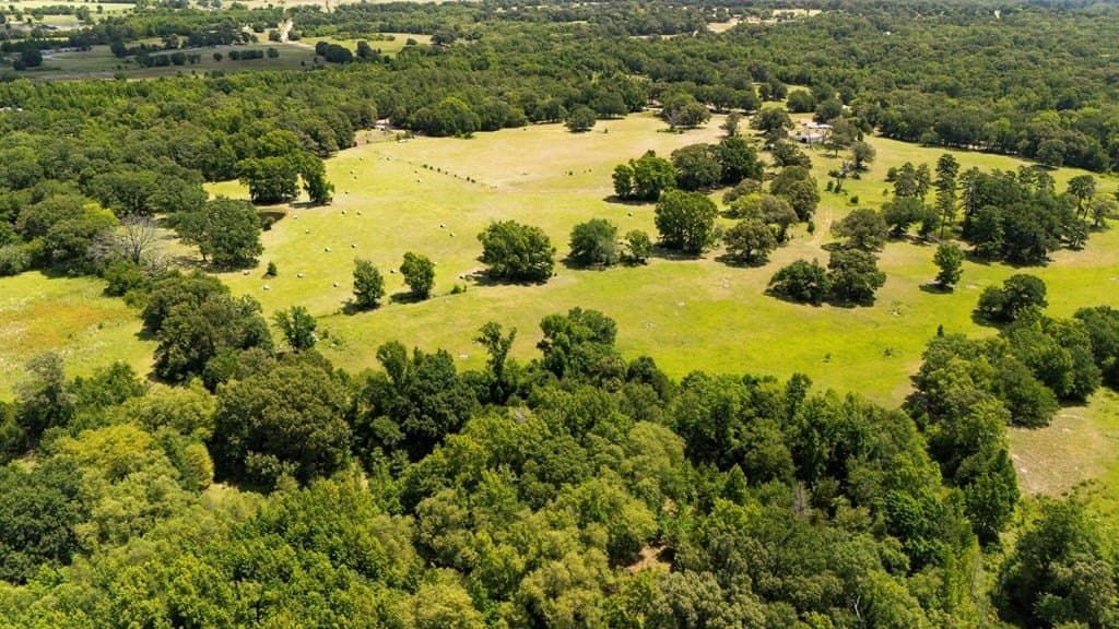 56.56 acres in Henderson County - photo 20