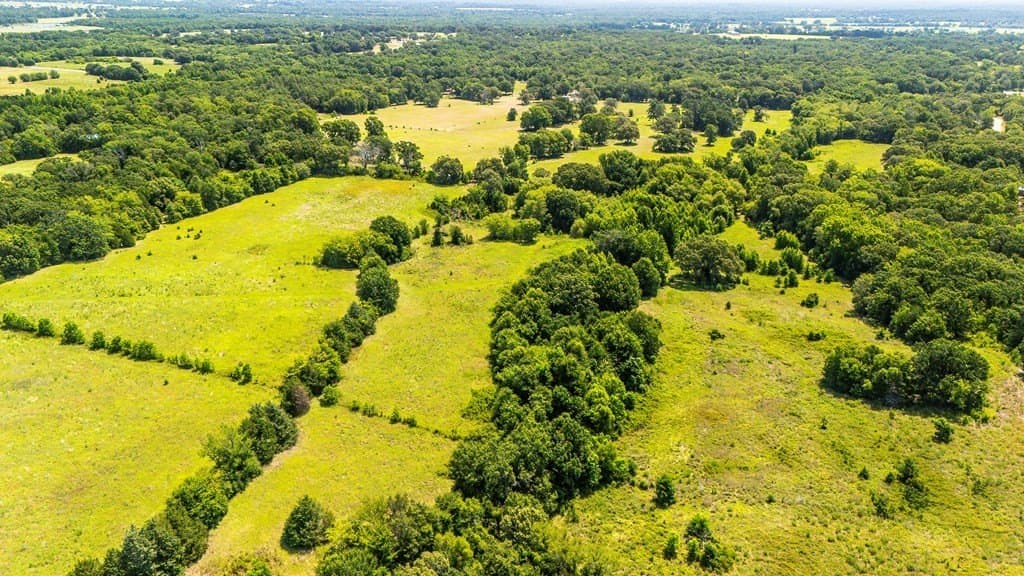 56.56 acres in Henderson County - photo 8