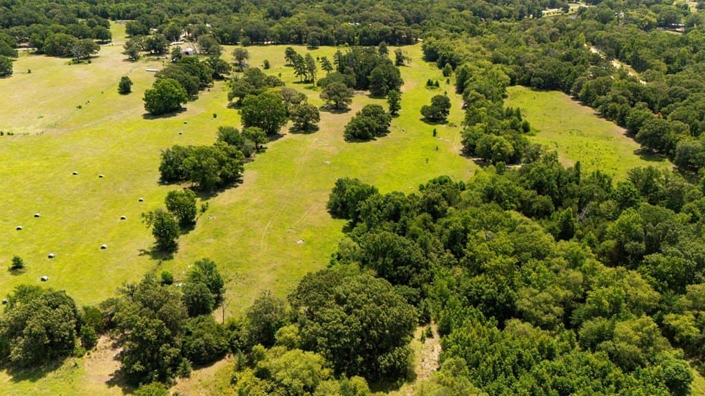 56.56 acres in Henderson County - photo 21