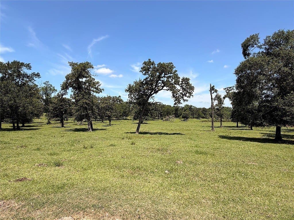 22.45 acres in Waller County - photo 16