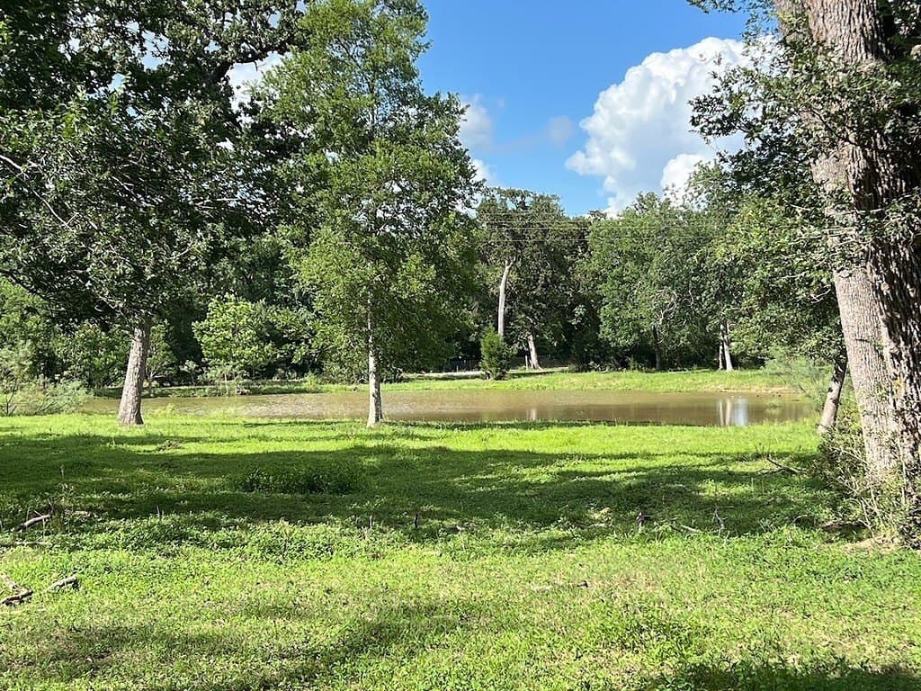 22.45 acres in Waller County - photo 9