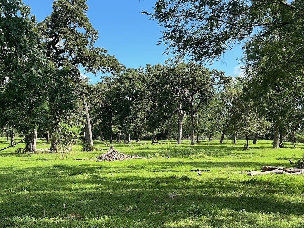 22.45 acres in Waller County - photo 10