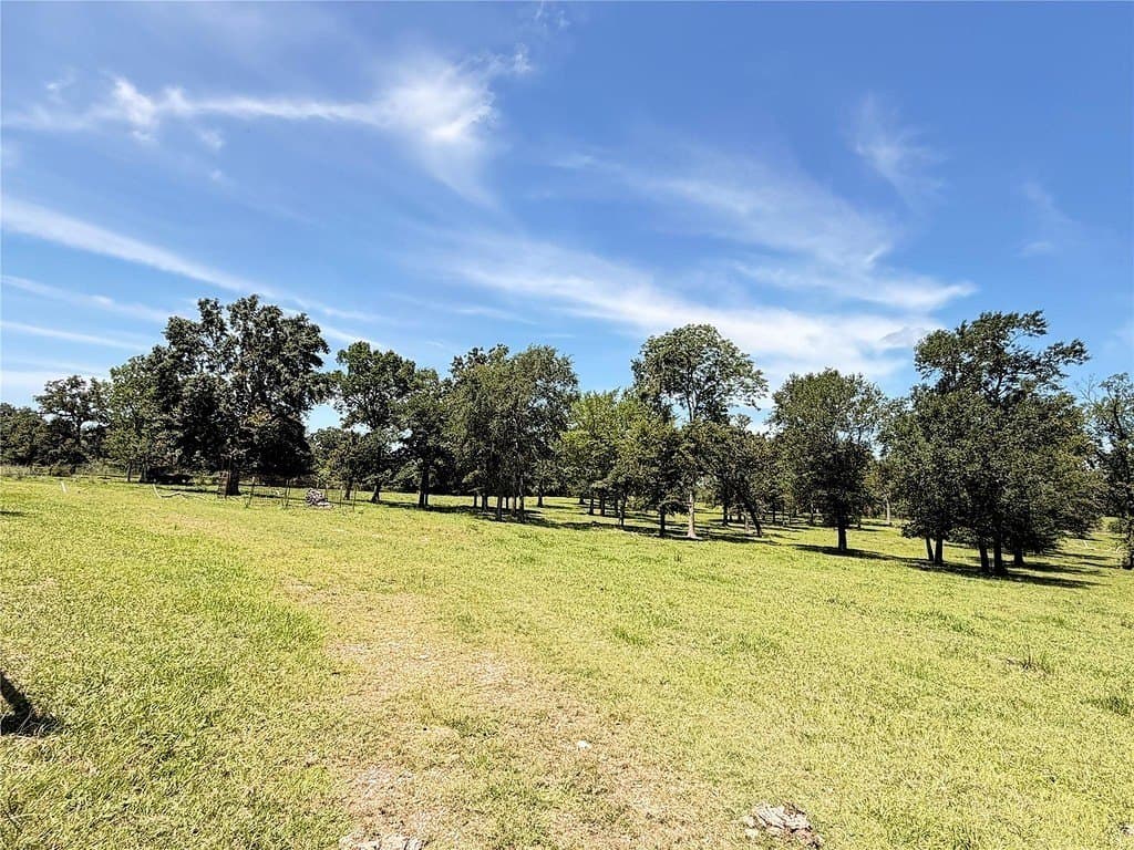 22.45 acres in Waller County - photo 15
