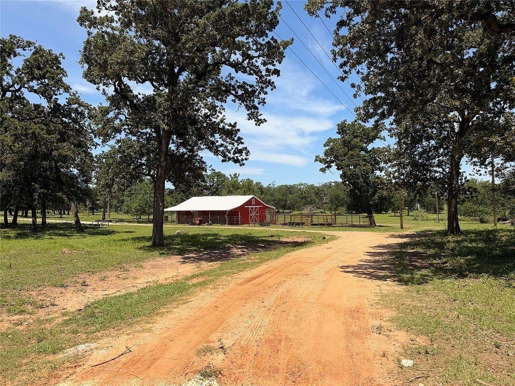 22.45 acres in Waller County gallery image 2