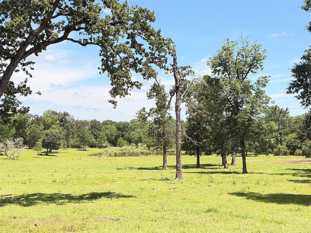 22.45 acres in Waller County - photo 14