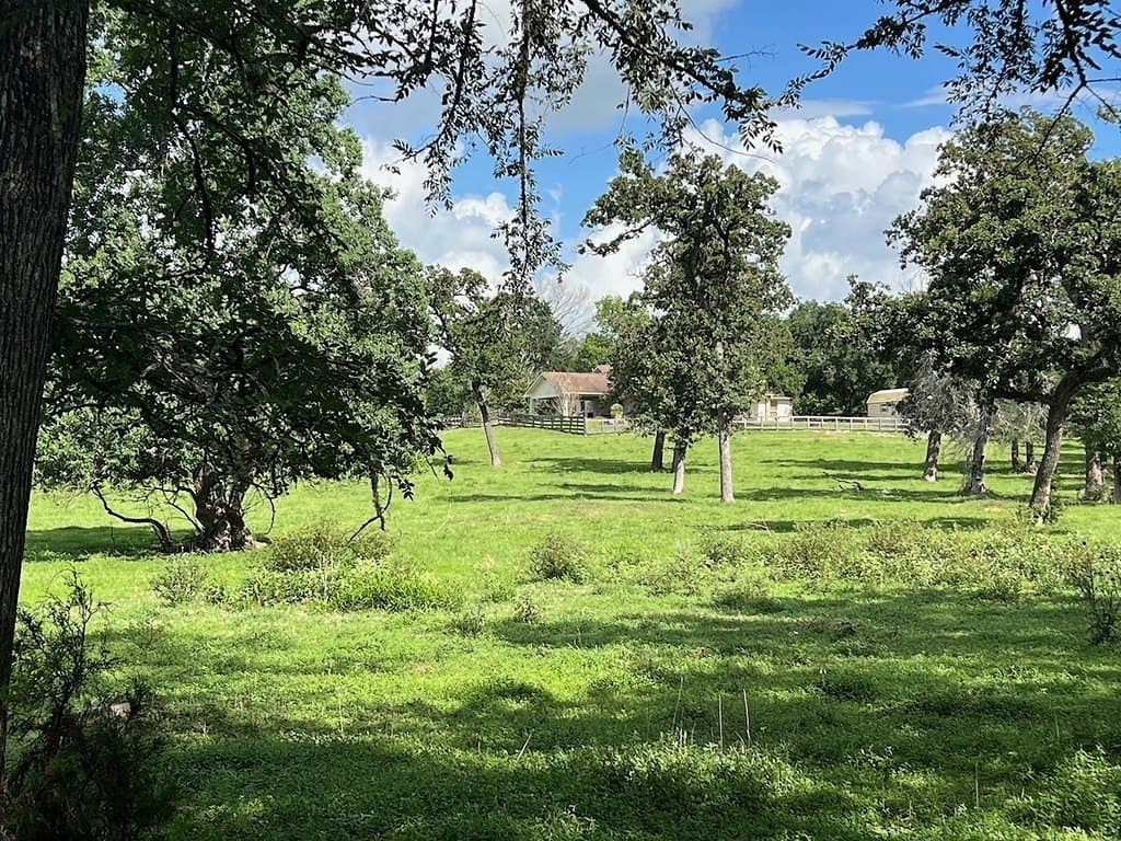 22.45 acres in Waller County - photo 11