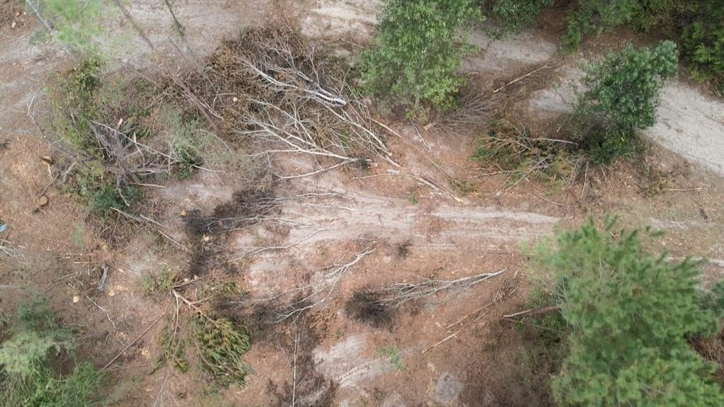 24.6 acres in Rusk County gallery image 3