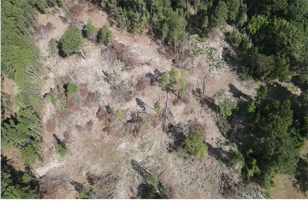 24.6 acres in Rusk County gallery image 2