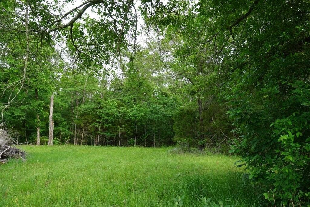 45 acres in HENDERSON County - photo 7