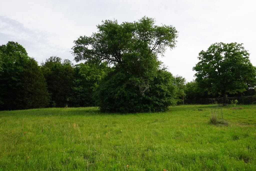 45 acres in HENDERSON County - photo 23