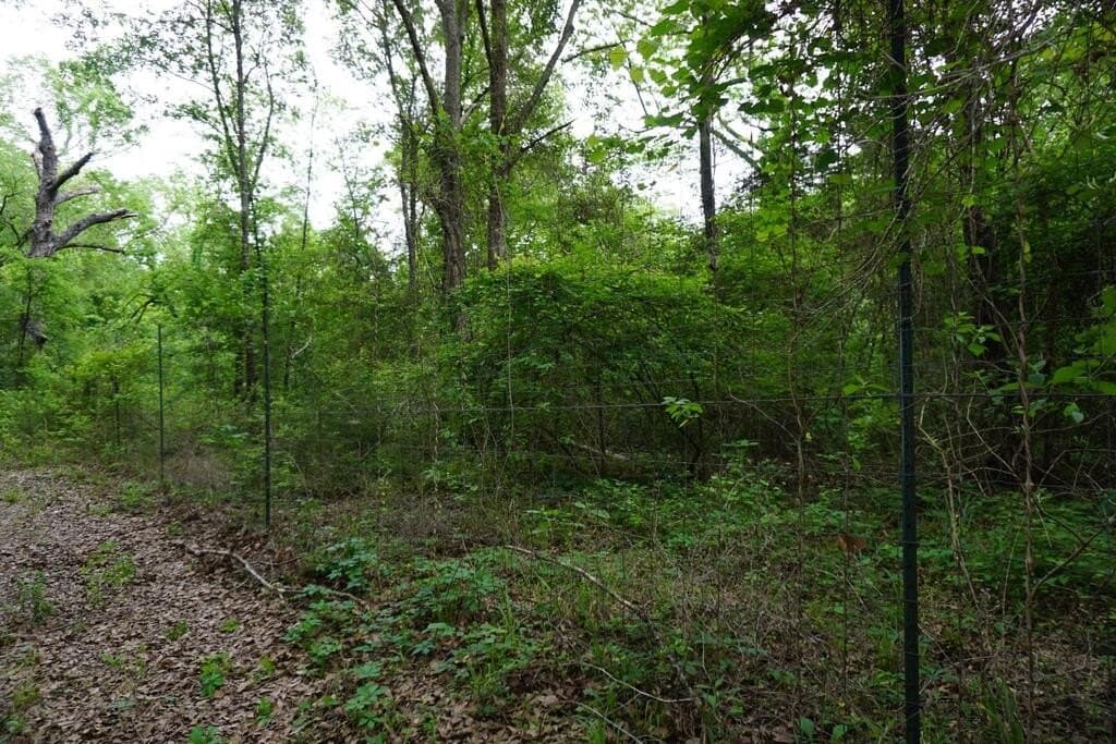 45 acres in HENDERSON County - photo 30