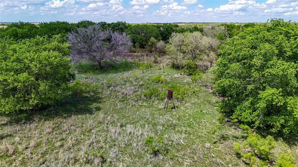 311.16 acres in Montague County gallery image 4