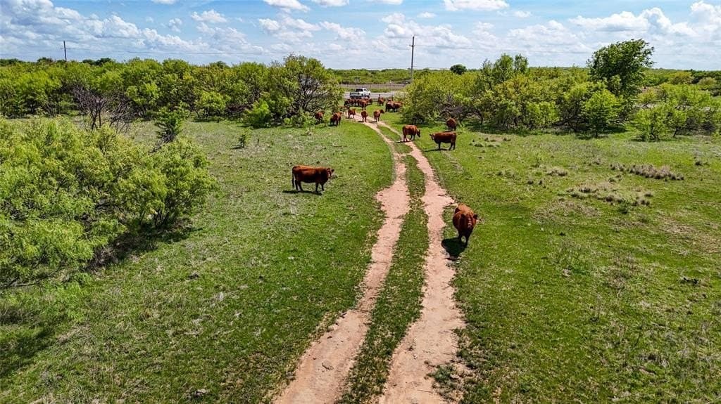 311.16 acres in Montague County featured view