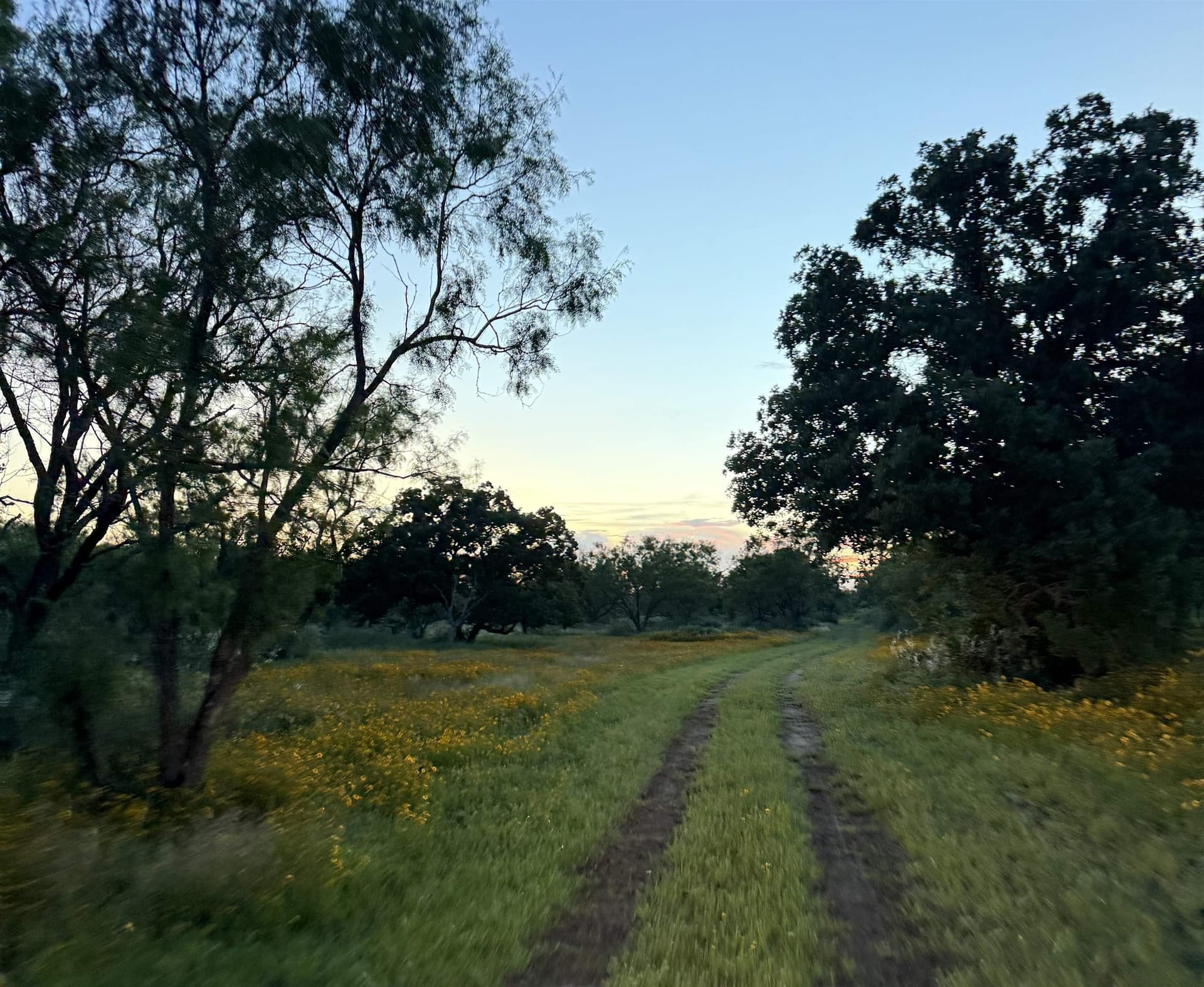 10.69 acres in Burnet County gallery image 2
