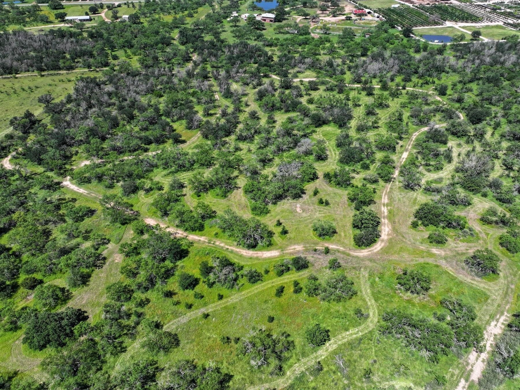 10.69 acres in Burnet County - photo 7