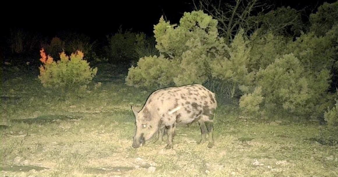 74.19 acres in Val Verde County featured view