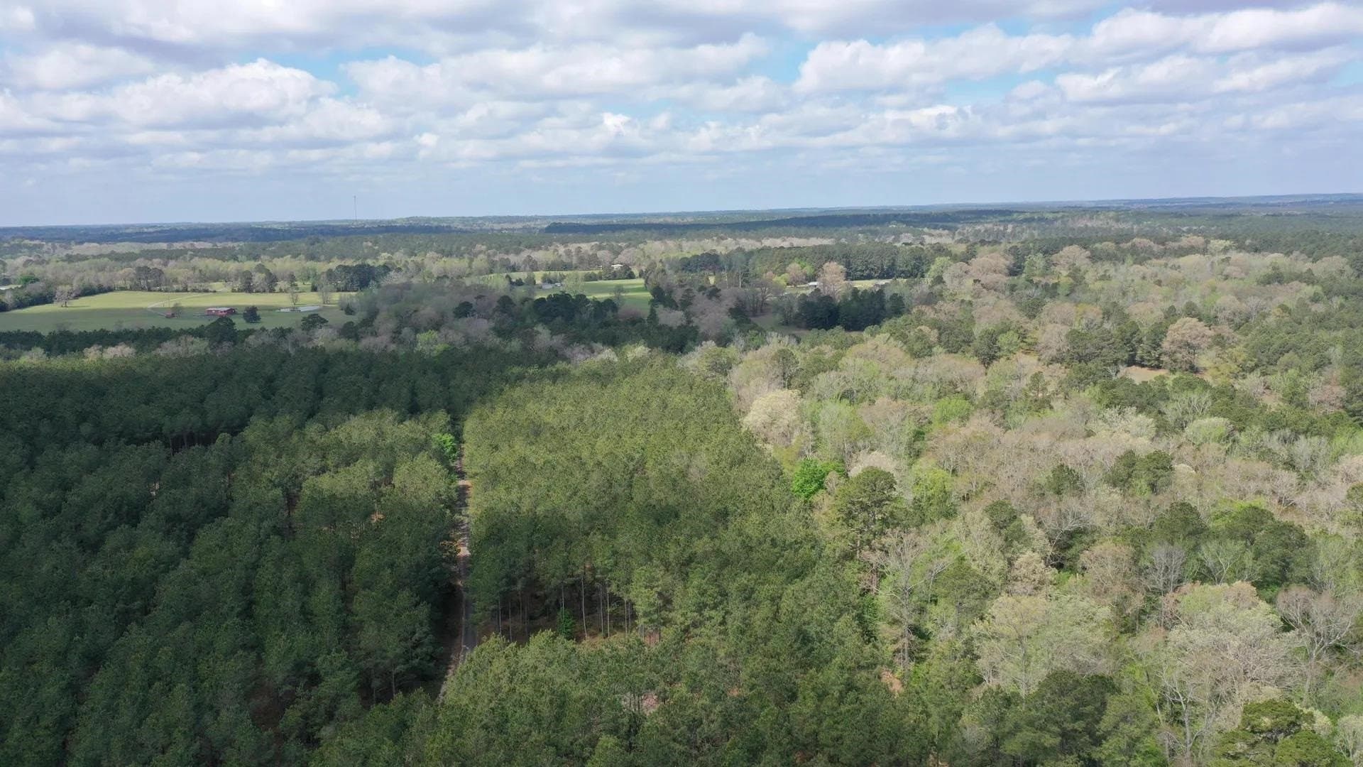 3.2 acres in Texas County gallery image 2