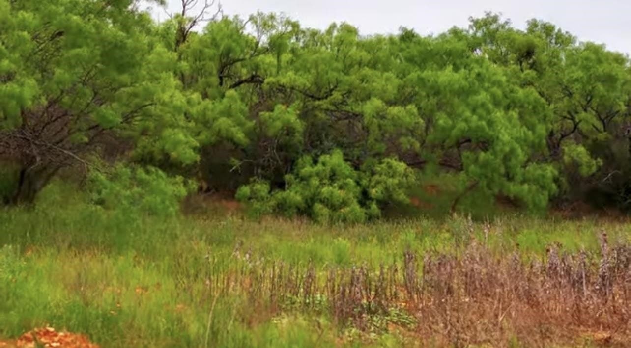 60 acres in Mills County featured view