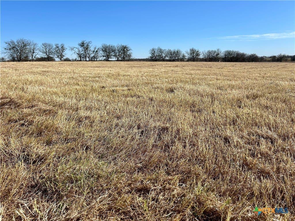 2.31 acres in Bell County gallery image 4
