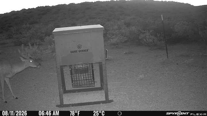 100,000 acres in Val Verde County - photo 8